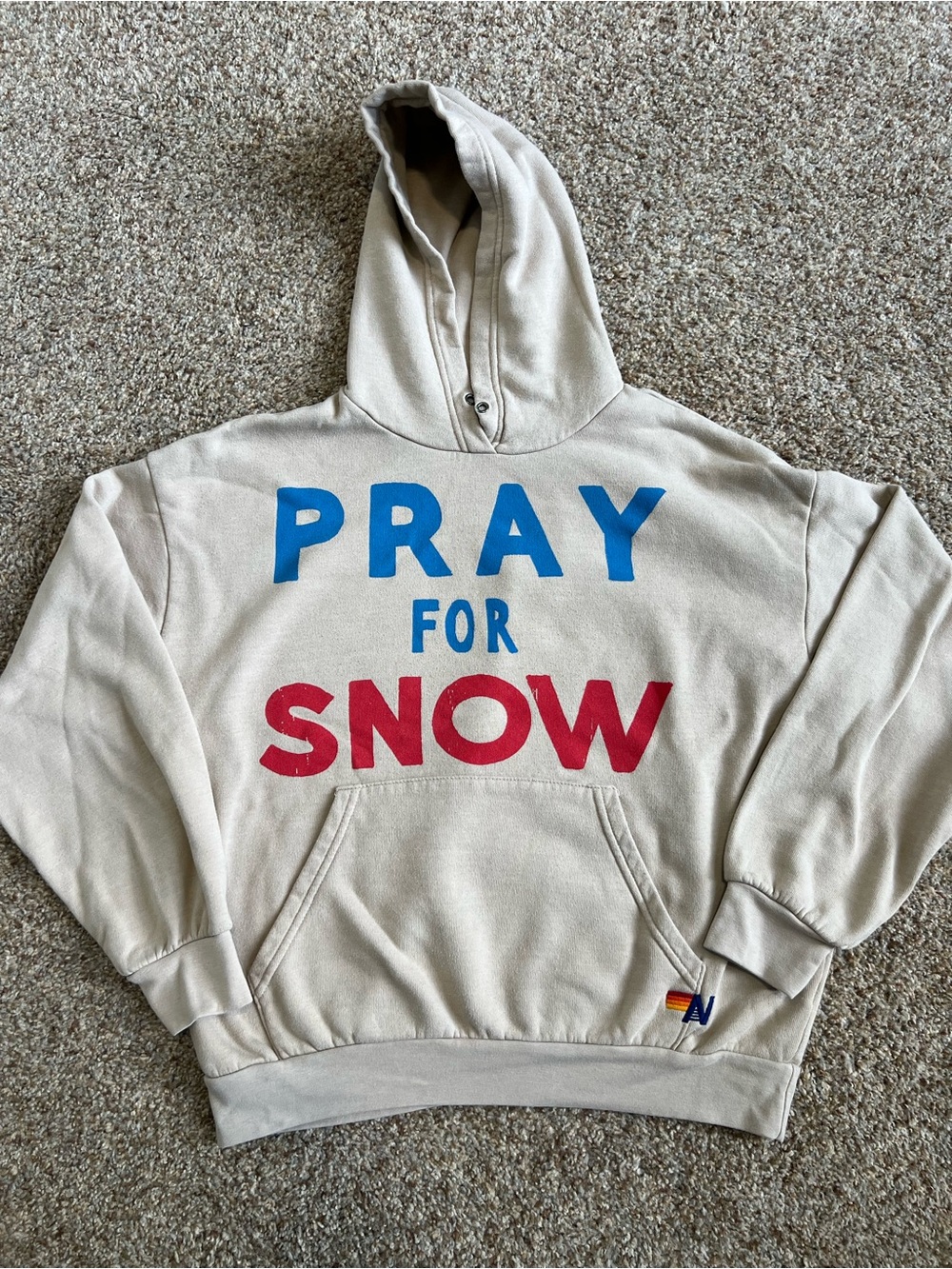 Aviator Nation Pray For Snow hoodie